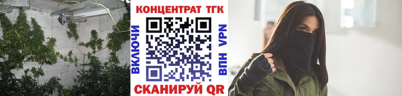 Купить  Тотьма  ТГК THC oil 